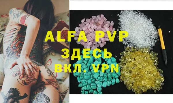 spice Аркадак