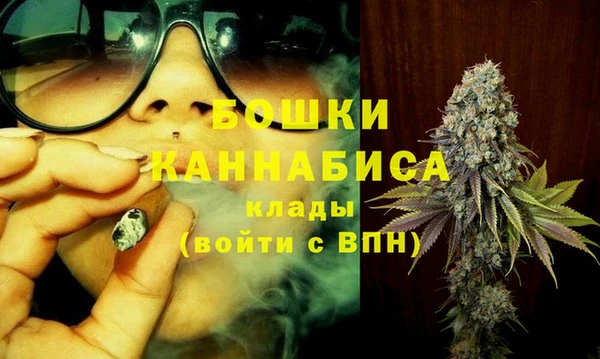 spice Аркадак