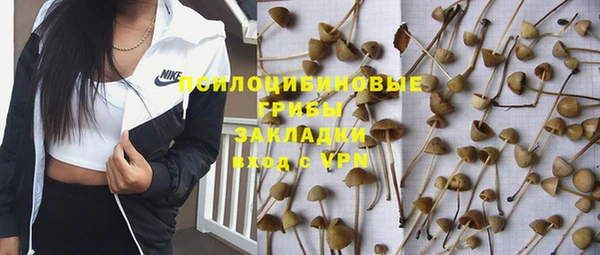 spice Аркадак