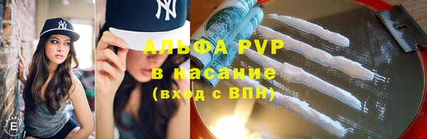 spice Аркадак