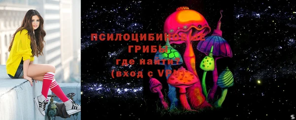 мдпв Дмитриев