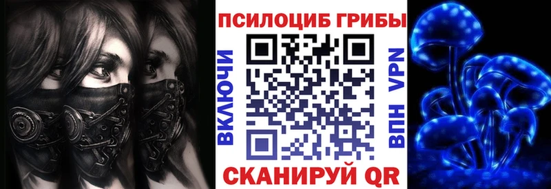 где можно купить наркотик сайты даркнета Telegram Галлюциногенные грибы MAGIC MUSHROOMS Исилькуль